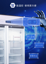 網絡技術開發 連接未來的橋梁與引擎